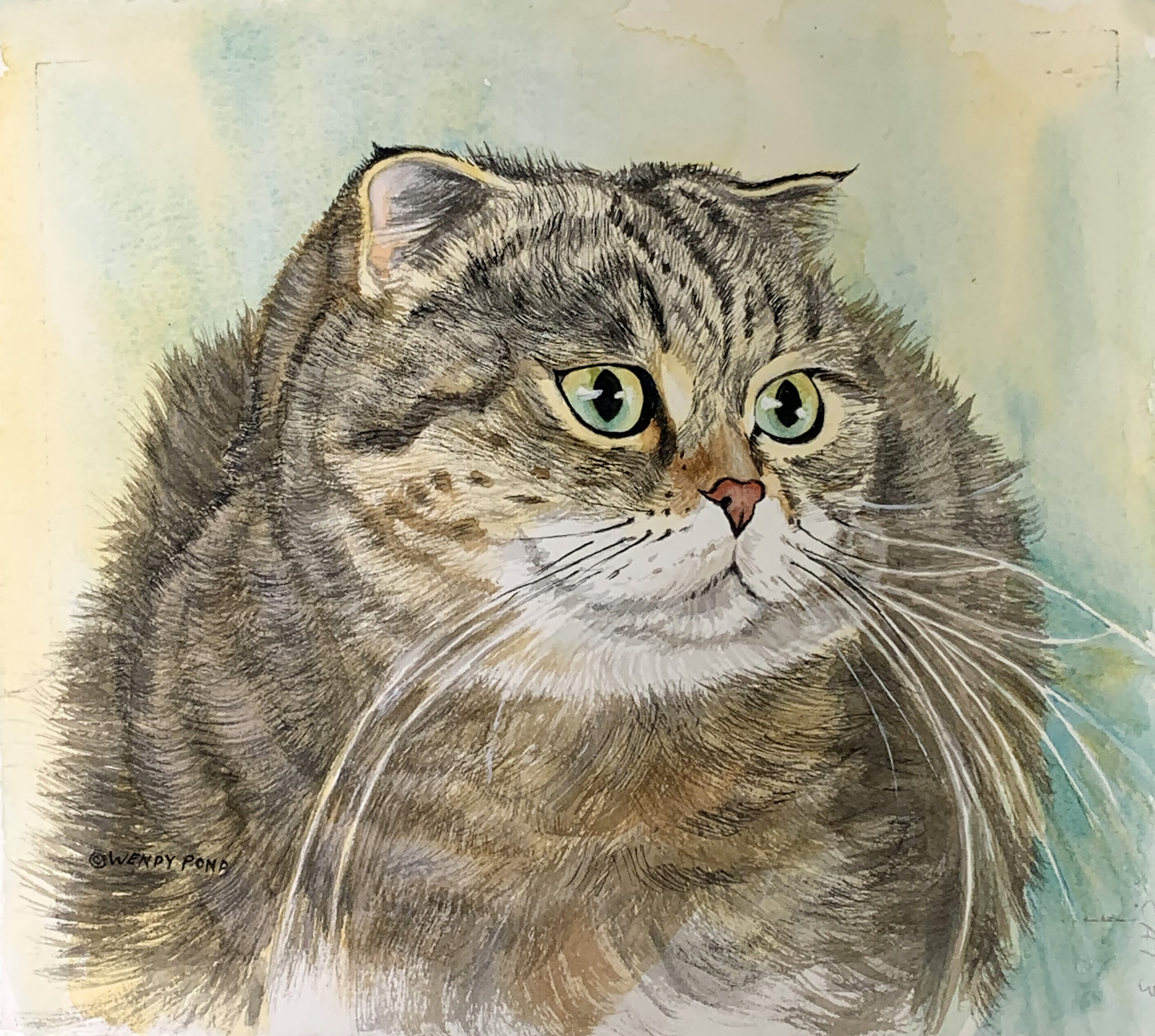 Watercolor portrait of a gray cat