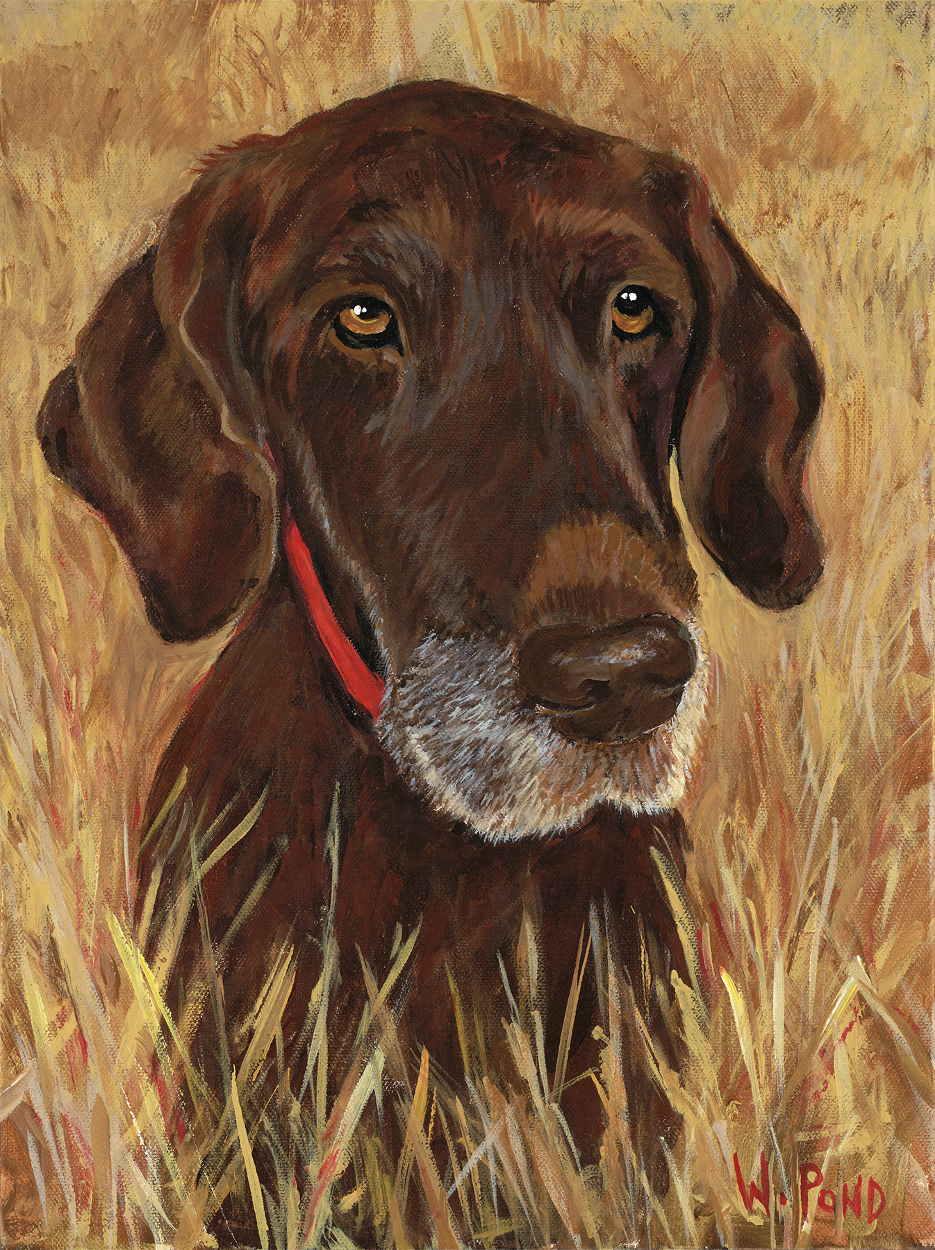 Dog portrait in a field Painted portrait of a dog in a field